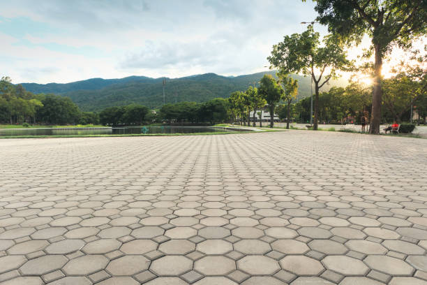 Best Residential Paver Driveway  in Picnic Point, WA
